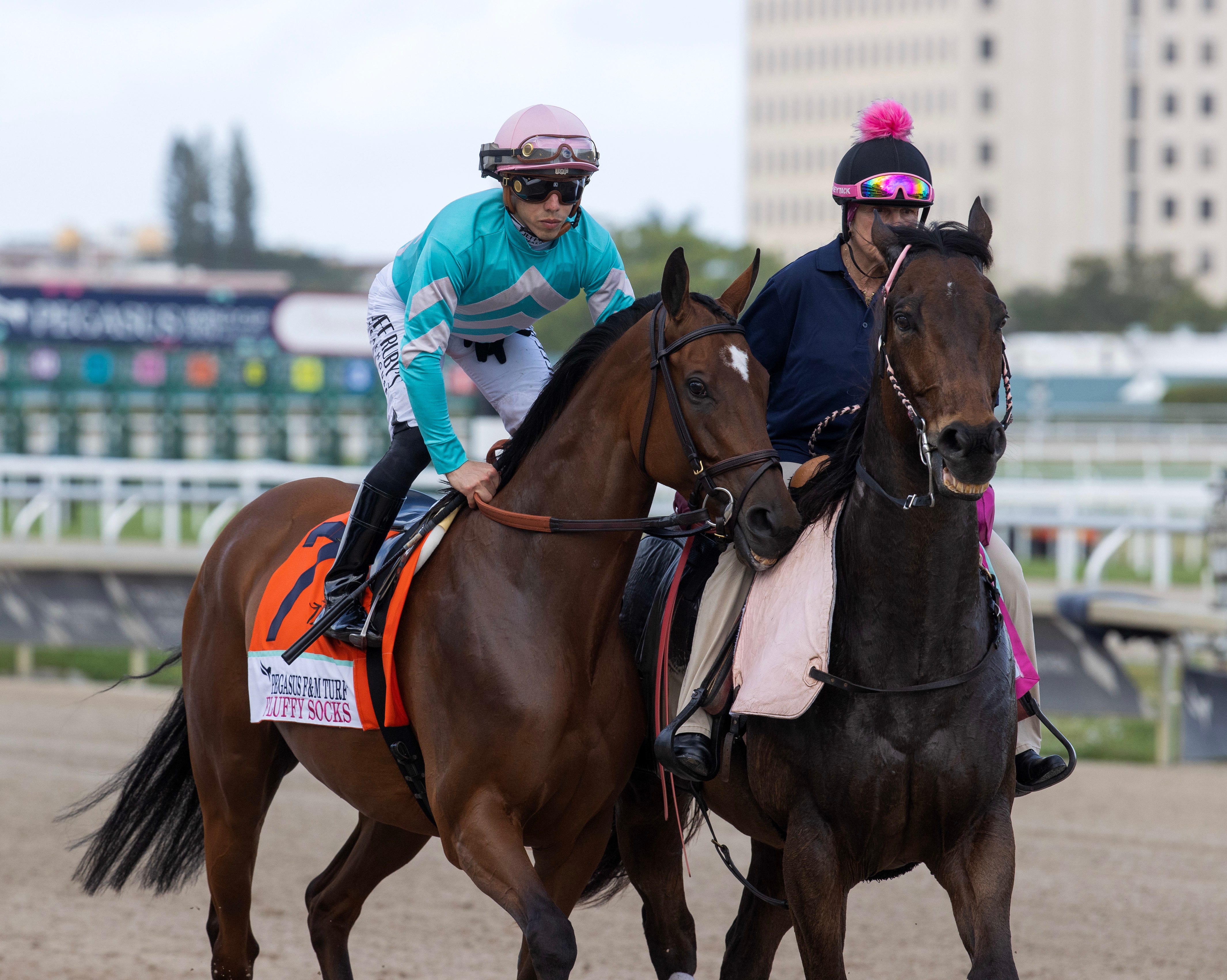 Tampa Bay Downs pick five play for March 9, 2024